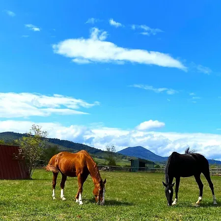 L'etoile Du Vignoble, Au Coeur D'un Ranch Alsacien Appartamento