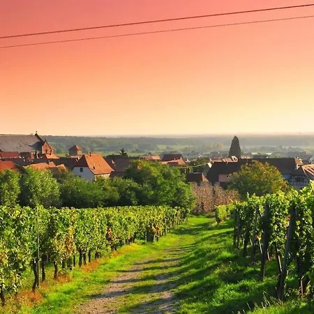 L'etoile Du Vignoble, Au Coeur D'un Ranch Alsacien * Dambach